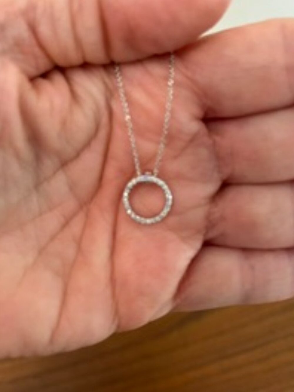Roberto Coin Tiny Treasures Diamond Circle Necklace- White Gold - Picture 3 of 7